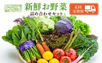 【3ヶ月毎計4回 定期便】四季を味わえる「鎌倉いちばブランド」新鮮お野菜詰め合わせセット