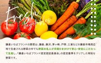 【3ヶ月毎計4回 定期便】四季を味わえる「鎌倉いちばブランド」新鮮お野菜詰め合わせセット