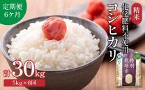 【令和6年産 新米】【定期便６回】 化学肥料不使用コシヒカリ 精米 5kg×6回 （計30kg）/ 白米 米 福井県あわら市産 美味しい 特別栽培米 減農薬 安心な米 旨味 甘み もっちり エコファーマー こしひかり 冷蔵保管米