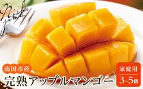 【先行予約】高知県南国市産／ご家庭用アップルマンゴー（2024年6月～発送）【マンゴー フルーツ くだもの デザート 高評価 人気 おすすめ】