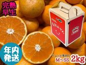 年内発送 ちょっと傷あり 完熟早生 有田みかん M ~ SS サイズ 2kg 手さげ箱