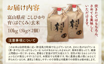 【令和7年産】富山県産こしひかり　育（はぐくみ）玄米　5キロ×２個セット《南砺の逸品》