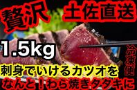 【ギフト用】冷凍脂カツオ【1.5kg】