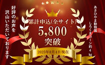 【26年発送先行予約】あさひやま動物園しろくまコーン&nbsp;10本（約4kg）2026年8月下旬から発送開始予定&nbsp;【&nbsp;とうもろこし&nbsp;人気&nbsp;北海道&nbsp;糖度&nbsp;野菜&nbsp;白いとうもろこし&nbsp;白いスイートコーン&nbsp;産地直送&nbsp;ホワイトレディ&nbsp;コーン&nbsp;玉蜀黍&nbsp;旬&nbsp;お取り寄せ&nbsp;旭川市&nbsp;北海道&nbsp;】_00308