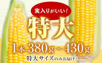 【26年発送先行予約】あさひやま動物園ライオンコーン約4kg(ゴールドラッシュ10本)2026年8月下旬から発送開始予定&nbsp;【&nbsp;とうもろこし&nbsp;人気&nbsp;北海道&nbsp;糖度&nbsp;野菜&nbsp;スイートコーン&nbsp;産地直送&nbsp;ゴールドラッシュ&nbsp;コーン&nbsp;旬&nbsp;お取り寄せ&nbsp;旭川市&nbsp;北海道&nbsp;】_00307