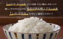 【令和6年産 新米】いちほまれ 真空パック 精米 300g×6個 計1.8kg《ギフトにもおすすめ！化粧箱入り》／ 福井県産 ブランド米 白米 2合