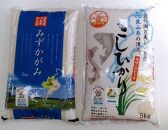 ◆【特Ａ食べ比べセット】高島市新旭産みずかがみ・コシヒカリ