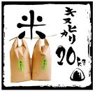 令和5年産 特別栽培 近江米 【キヌヒカリ】20kg（5kg×4）【ポイント交換専用】