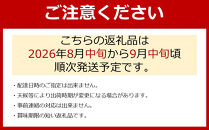 ［先行予約］［新鮮・産直］有田巨峰村の朝採りたねなしピオーネ　約2kg★2026年８月中旬頃より順次発送