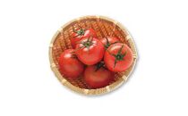 【先行予約】ミネラル豊かな「オホーツク塩トマト」2023年7月下旬より発送予定【ポイント交換専用】