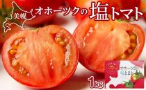 【先行予約】ミネラル豊かな「オホーツク塩トマト」2022年7月下旬発送予定