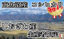 【令和7年産】【定期便：10Kg×3ヶ月】生産者限定&nbsp;契約栽培&nbsp;南魚沼しおざわ産コシヒカリ【2025年10月上旬より順次発送予定】