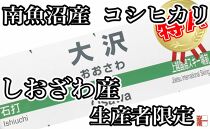 【令和7年産】【定期便：４Kg×12ヶ月】生産者限定&nbsp;契約栽培&nbsp;南魚沼しおざわ産コシヒカリ【2025年10月上旬より順次発送予定】