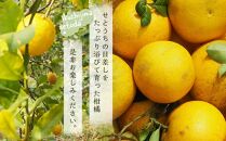 【先行受付】自然農法による瀬戸田レモンと季節の柑橘詰め合わせ（4月～７月お届け）