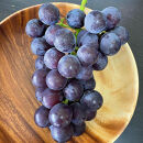 【先行予約】有田巨峰村三木と園の露地栽培あま～い種あり巨峰3kg