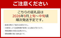 【先行予約】有田巨峰村三木と園の露地栽培あま～い種あり巨峰3kg