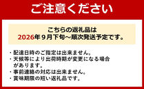 有田巨峰村三木と園の露地栽培あま～い種あり巨峰3kg【2026年9月下旬より発送】