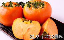 【数量限定】≪厳選・産直≫九度山町の富有柿2Lサイズ13個入り★2026年11月中旬頃より順次発送