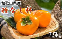 ◆先行予約◆和歌山産のたねなし柿約7.5kg(サイズおまかせ)・秀品【秋の味覚】【2022年9月下旬以降発送】
