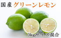 【産直】和歌山産グリーンレモン約3kg（サイズ混合）★2024年10月下旬頃より順次発送【TM7】