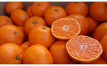 農家直送！有田みかん（10kg&nbsp;2Lサイズ（大玉）秀品）平武農園　～蛍飛ぶ町から旬の便り～