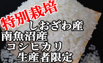 特別栽培 生産者限定 南魚沼しおざわ産コシヒカリ2Kg