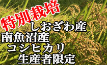 【令和7年産】特別栽培&nbsp;生産者限定&nbsp;南魚沼しおざわ産コシヒカリ15Kg