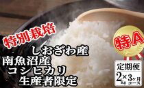 【令和7年産】【定期便：２Kg×3ヶ月】特別栽培&nbsp;生産者限定&nbsp;&nbsp;南魚沼しおざわ産コシヒカリ