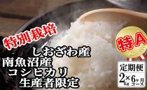 【令和7年産】【定期便：2Kg×6ヶ月】特別栽培&nbsp;生産者限定&nbsp;&nbsp;南魚沼しおざわ産コシヒカリ