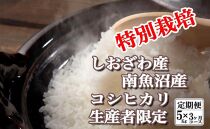 【定期便：5Kg×3ヶ月】特別栽培 生産者限定  南魚沼しおざわ産コシヒカリ