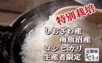 【令和7年産】【定期便：5Kg×3ヶ月】特別栽培&nbsp;生産者限定&nbsp;&nbsp;南魚沼しおざわ産コシヒカリ