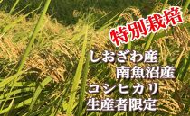 【令和7年産】【定期便：5Kg×3ヶ月】特別栽培&nbsp;生産者限定&nbsp;&nbsp;南魚沼しおざわ産コシヒカリ