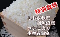 【令和7年産】【定期便：5Kg×3ヶ月】特別栽培&nbsp;生産者限定&nbsp;&nbsp;南魚沼しおざわ産コシヒカリ
