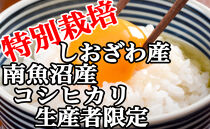 【令和7年産】【定期便：15Kg×3ヶ月】特別栽培&nbsp;生産者限定&nbsp;&nbsp;南魚沼しおざわ産コシヒカリ