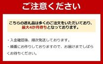 生地から手作り！もちもち絶品☆救命ボートピッツァ（6枚入り）