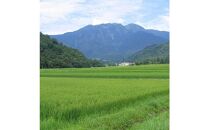 日本酒 八海山 純米大吟醸 しぼりたて原酒 越後で候 赤越後 1800ml