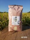 【令和8年産新米予約】【お米定期便/全６回】南魚沼産コシヒカリ　白米１０ｋｇ【定期便&nbsp;銘柄米&nbsp;ブランド米&nbsp;精米&nbsp;こしひかり&nbsp;コシヒカリ&nbsp;魚沼産&nbsp;新潟米&nbsp;産地直送&nbsp;お米&nbsp;米】【2026年10月中旬から1ヶ月以内に順次発送予定】
