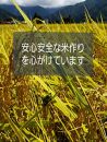 【令和8年産新米予約】【お米定期便/全６回】南魚沼産コシヒカリ　無洗米５ｋｇ【2026年10月中旬から1ヶ月以内に順次発送予定】