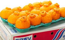 不知火&nbsp;(しらぬひ)&nbsp;約5kg