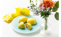 コフレカセット&nbsp;C（瀬戸内レモンケーキ、焼菓子6種）