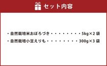 自然栽培のお米と小豆  酵素玄米セット10ｋｇ