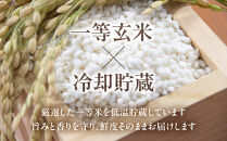 富山市産コシヒカリ精米&nbsp;5kg×2袋&nbsp;10kg