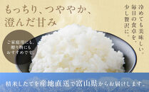 富山市産コシヒカリ精米&nbsp;5kg×2袋&nbsp;10kg