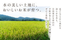 富山市産コシヒカリ精米&nbsp;5kg×2袋&nbsp;10kg