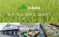 富山市産コシヒカリ精米&nbsp;5kg×2袋&nbsp;10kg