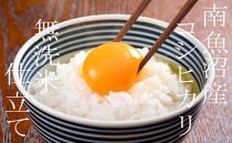 【令和7年産】【定期配送２Kg×全3回】吟精&nbsp;無洗米&nbsp;南魚沼産コシヒカリ