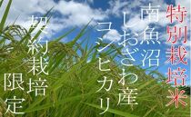 【定期配送２Kg×6ヶ月】特別栽培 生産者限定  南魚沼しおざわ産コシヒカリ