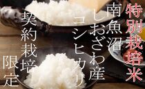【令和7年産】【定期配送２Kg×6ヶ月】特別栽培&nbsp;生産者限定&nbsp;&nbsp;南魚沼しおざわ産コシヒカリ