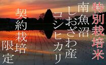 【令和7年産】【定期配送4Kg×6ヶ月】特別栽培&nbsp;生産者限定&nbsp;&nbsp;南魚沼しおざわ産コシヒカリ
