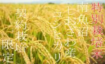 【令和7年産】【定期配送5Kg×12ヶ月】特別栽培&nbsp;生産者限定&nbsp;&nbsp;南魚沼しおざわ産コシヒカリ